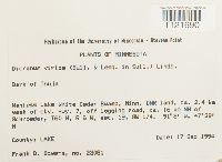 Dicranum viride image