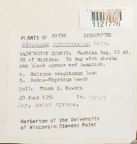 Image Associated With the Occurrence