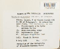 Image Associated With the Occurrence