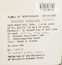 Image Associated With the Occurrence