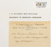 Dicranum fuscescens image