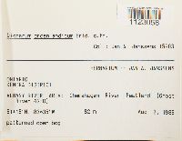 Image Associated With the Occurrence