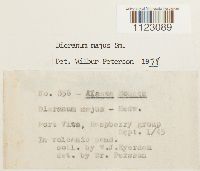 Image Associated With the Occurrence