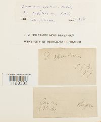 Kiaeria starkei image