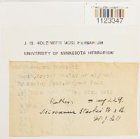 Kiaeria starkei image