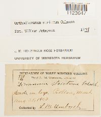 Image Associated With the Occurrence