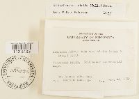 Dicranum viride image