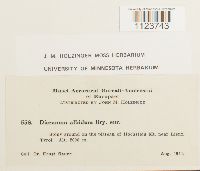 Media resource of Leucobryum albidum