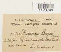 Image Associated With the Occurrence