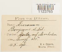 Image Associated With the Occurrence