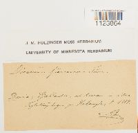 Image Associated With the Occurrence