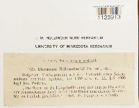 Image Associated With the Occurrence