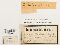 Image Associated With the Occurrence