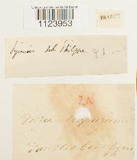 Image Associated With the Occurrence