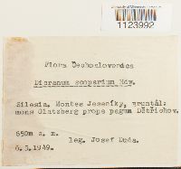 Image Associated With the Occurrence