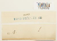 Image Associated With the Occurrence