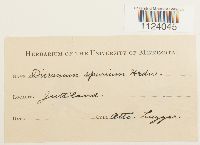 Image Associated With the Occurrence