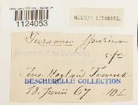 Image Associated With the Occurrence