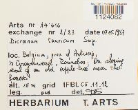 Image Associated With the Occurrence