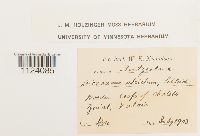 Image Associated With the Occurrence