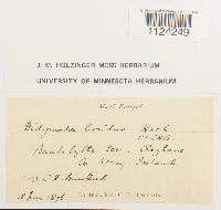 Image Associated With the Occurrence