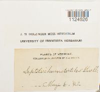 thumbnail image of current specimen