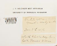 thumbnail image of current specimen