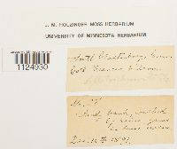 thumbnail image of current specimen