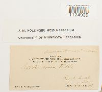 Thumbnail image of current specimen