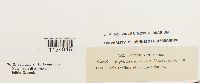 thumbnail image of current specimen