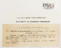 Image Associated With the Occurrence