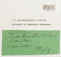 Thumbnail image of current specimen