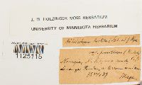 thumbnail image of current specimen