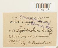 thumbnail image of current specimen