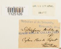 thumbnail image of current specimen