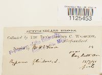 Image Associated With the Occurrence