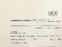 Image Associated With the Occurrence