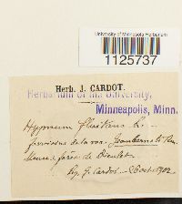 Image Associated With the Occurrence