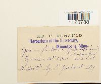 Image Associated With the Occurrence