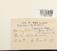 Image Associated With the Occurrence