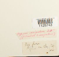 Image Associated With the Occurrence