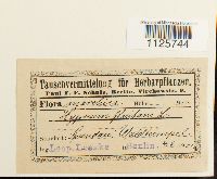 Image Associated With the Occurrence