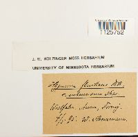 Image Associated With the Occurrence