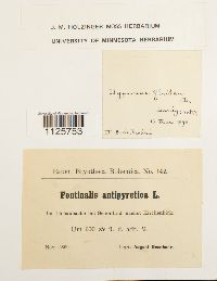 Image Associated With the Occurrence