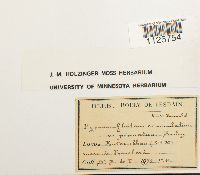 Image Associated With the Occurrence