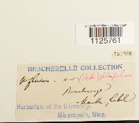 Image Associated With the Occurrence