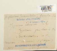 Image Associated With the Occurrence