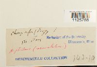 Image Associated With the Occurrence