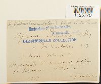 Image Associated With the Occurrence