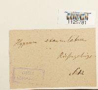 Image Associated With the Occurrence